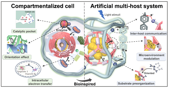 北理工团队揭示分子笼基嵌套结构中电子交流机制在高效仿生催化中的作用