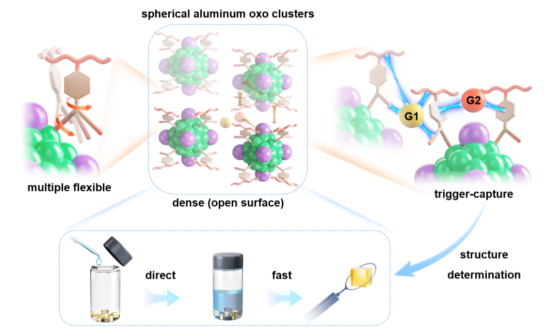 福建物构所球形铝氧团簇的表面主客体化学取得新进展
