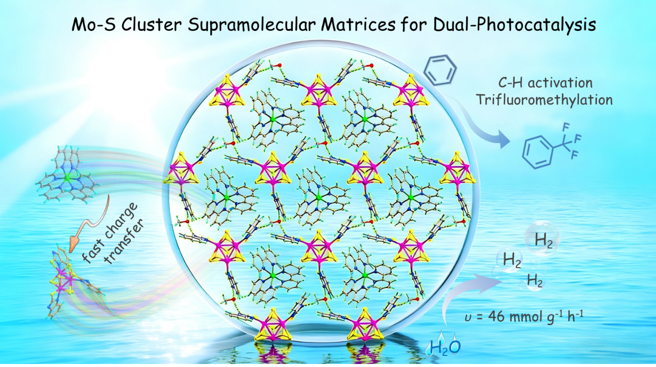 福建物构所在钼硫簇光催化领域取得新进展